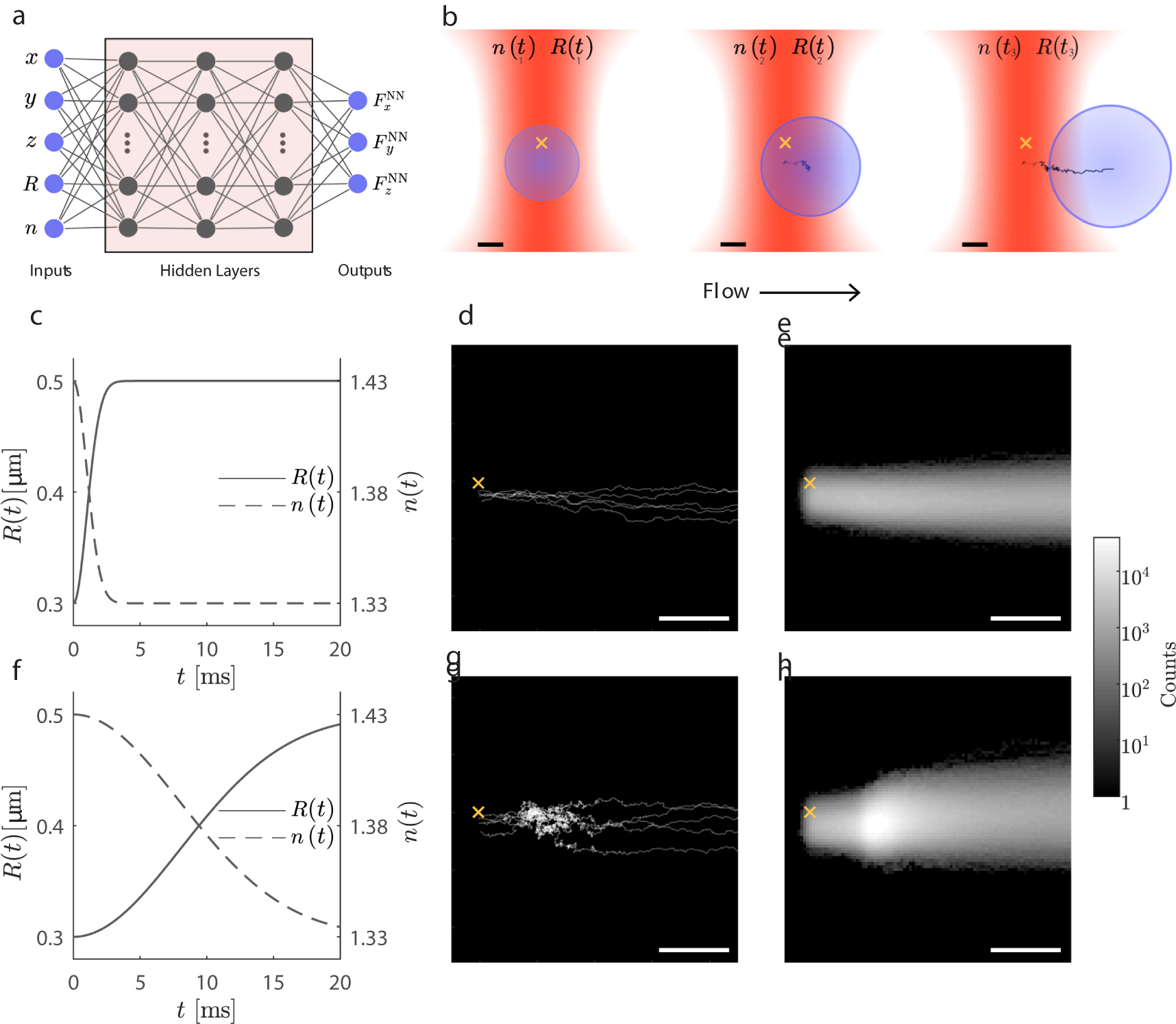 Machine learning reveals complex behaviours in optically trapped ...