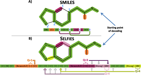 Self-referencing embedded strings (SELFIES): A 100% robust molecular ...
