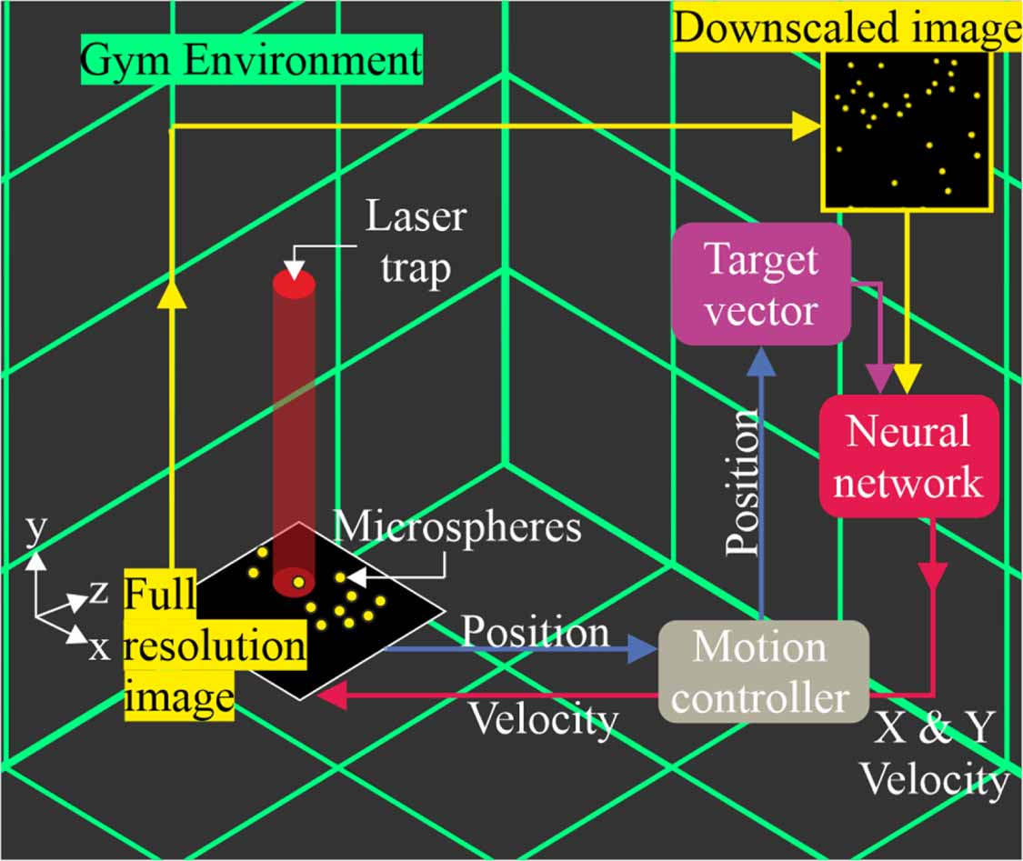 Playing optical tweezers with deep reinforcement learning: in virtual ...