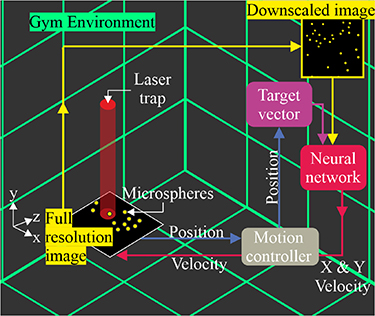 Playing optical tweezers with deep reinforcement learning: in virtual ...