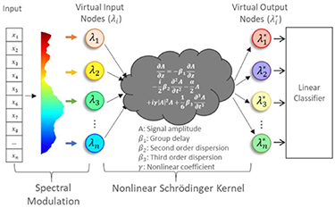 Figure 5. Refer to the following caption and surrounding text.