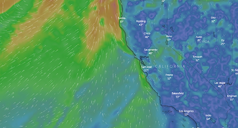 Figure 6. Refer to the following caption and surrounding text.