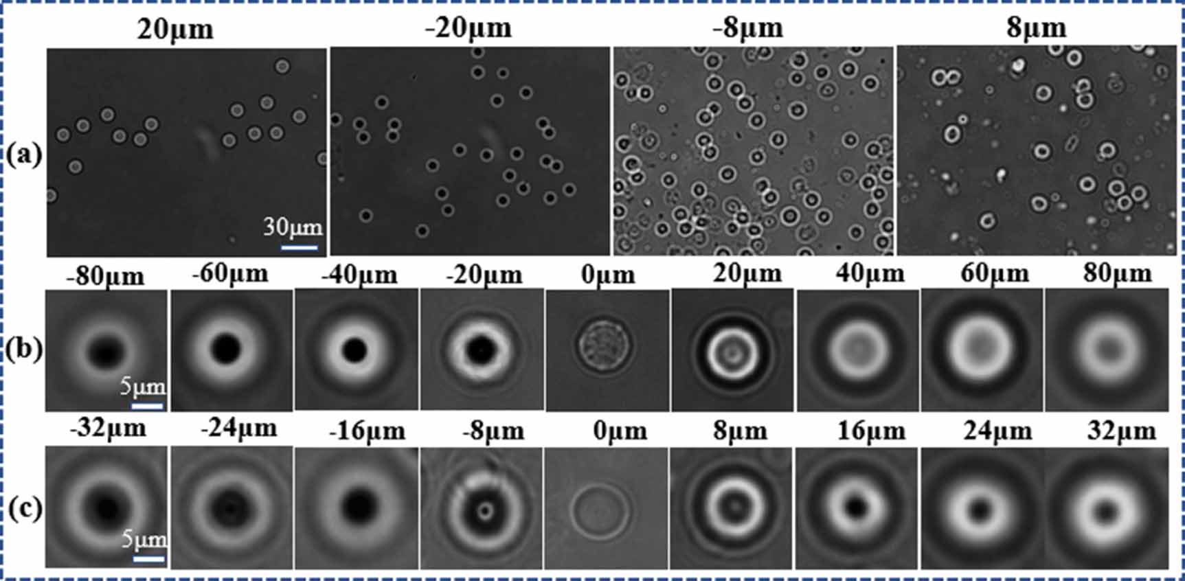 3D positioning and autofocus of the particle field based on the depth ...