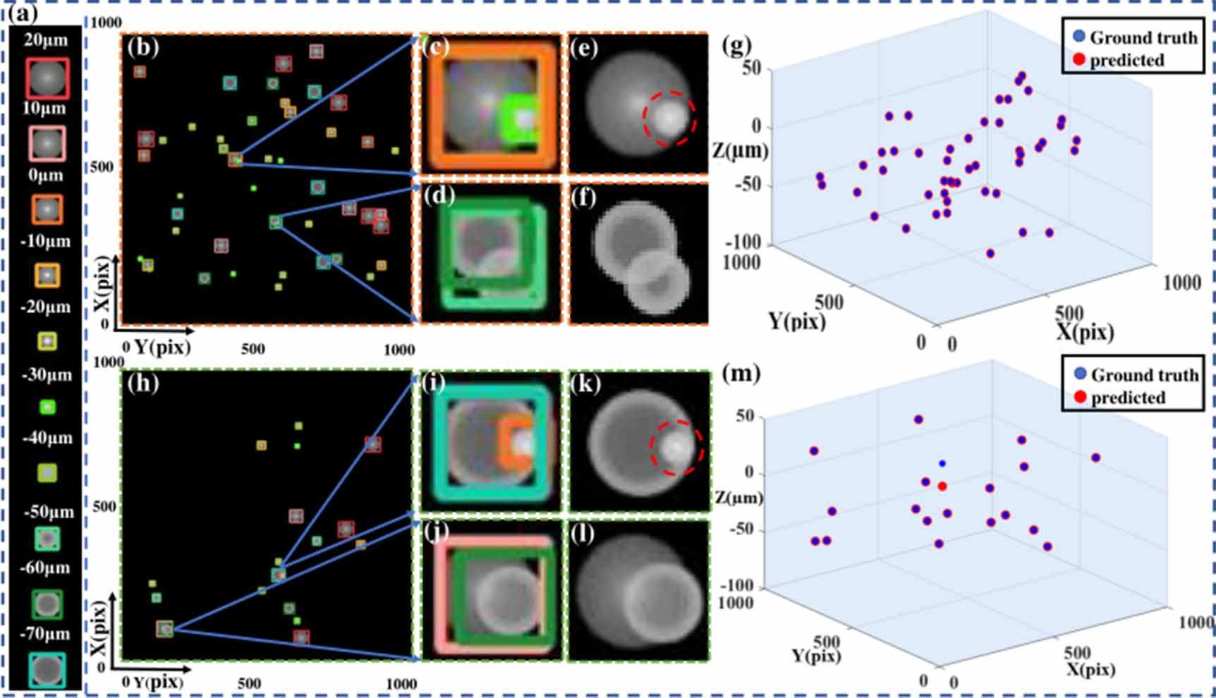 3D positioning and autofocus of the particle field based on the depth ...