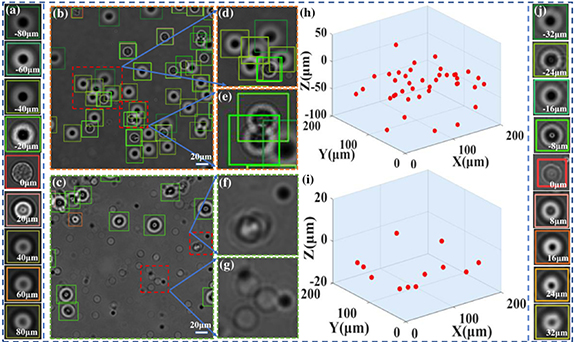 3D positioning and autofocus of the particle field based on the depth ...