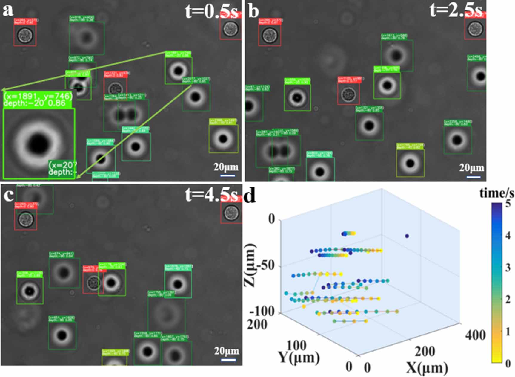3D positioning and autofocus of the particle field based on the depth ...