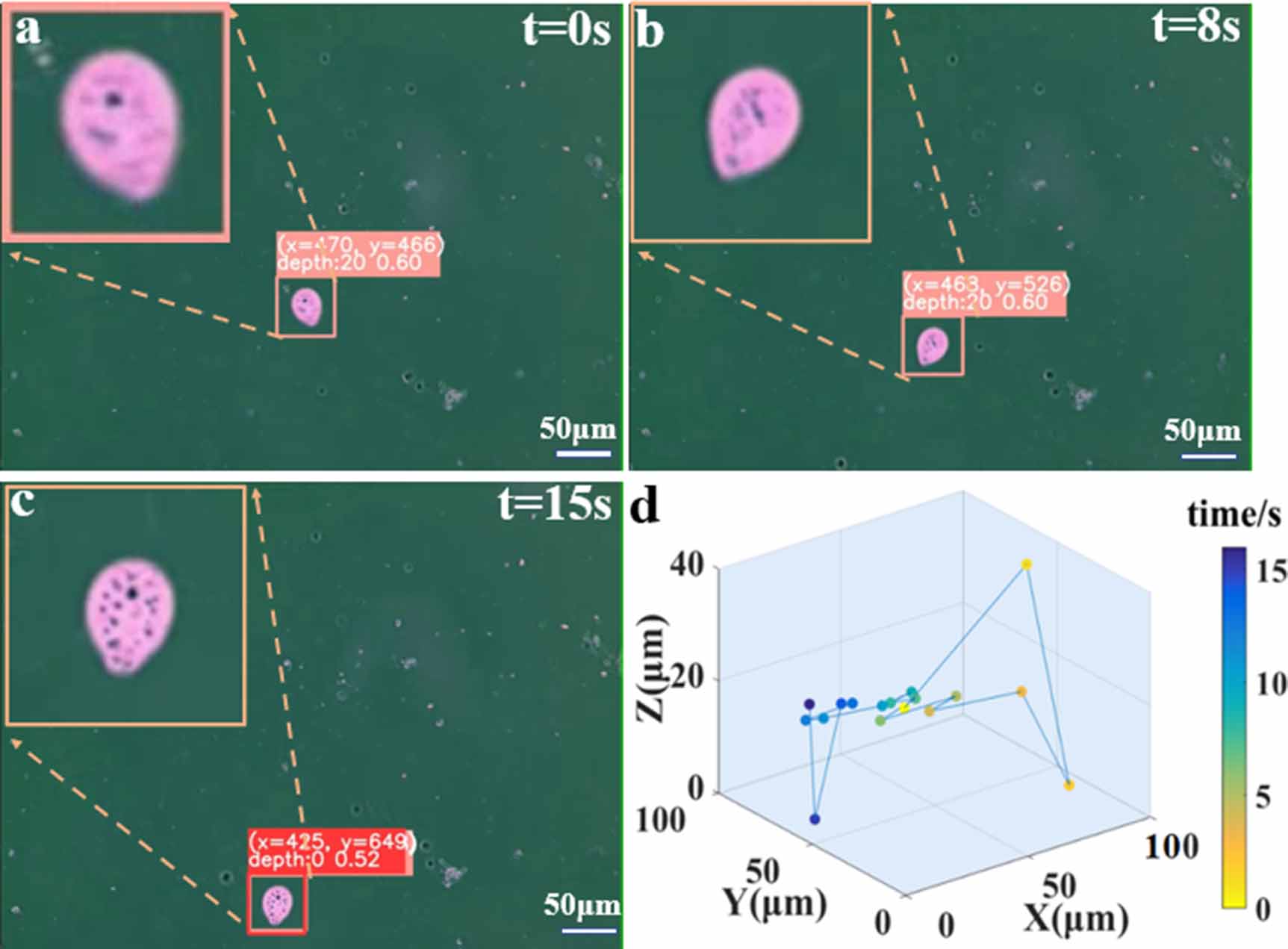 3D positioning and autofocus of the particle field based on the depth ...
