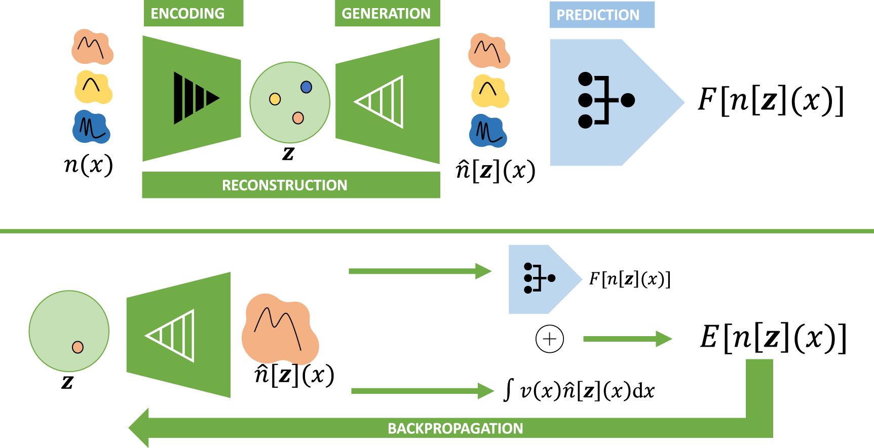 Y Mechanisms Underlying the Impact of Interleukin Family on