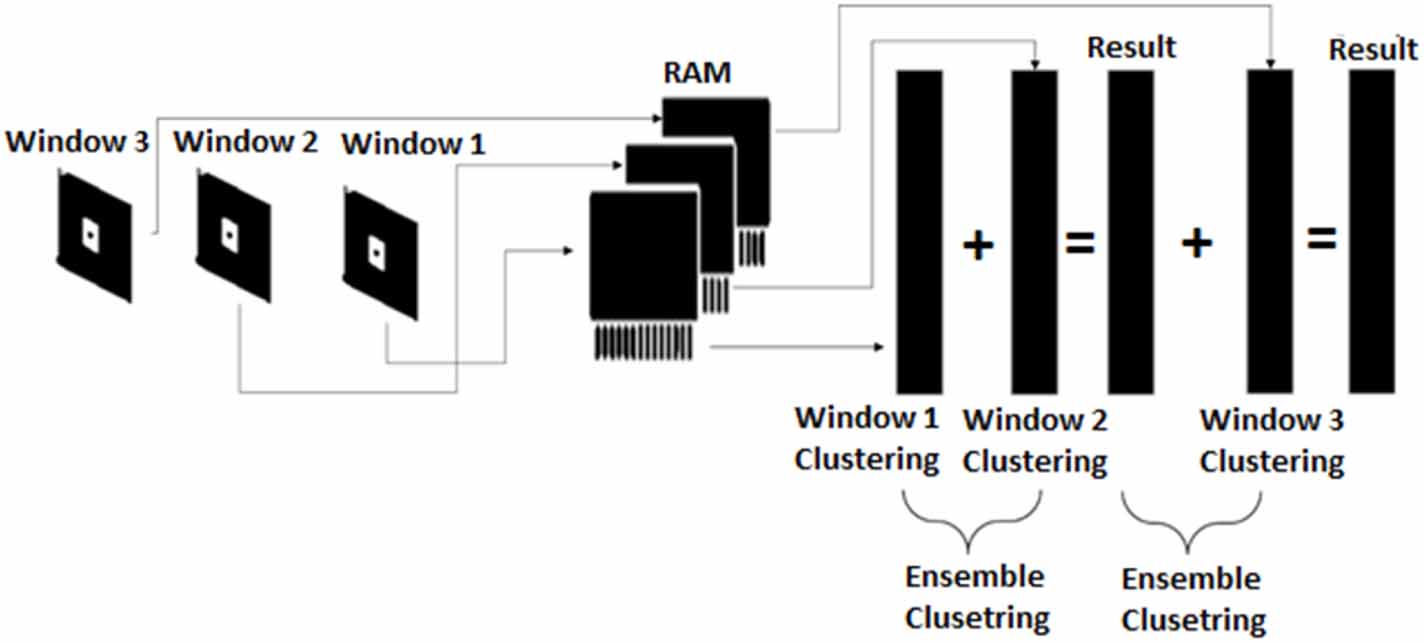 Large-scale gene expression data clustering through incremental ...