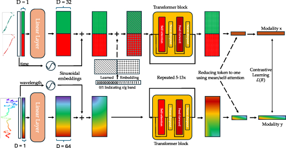 Maven: a multimodal foundation model for supernova science - IOPscience