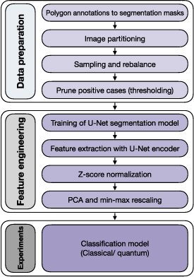 Satellite image classification with neural quantum kernels - IOPscience
