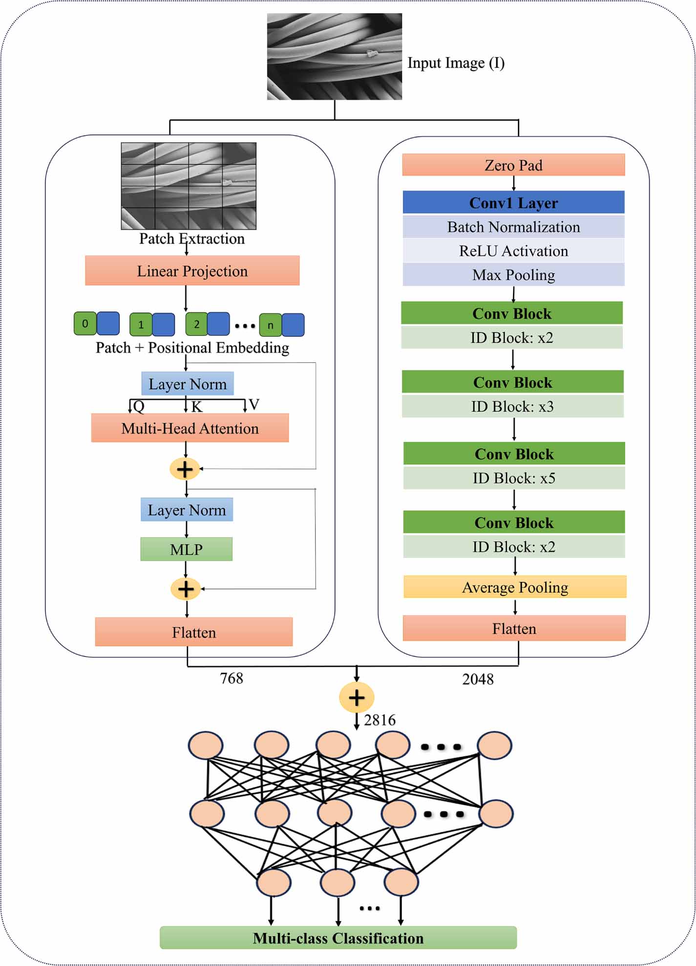 Hybrid vision transformer framework for efficient and explainable SEM ...