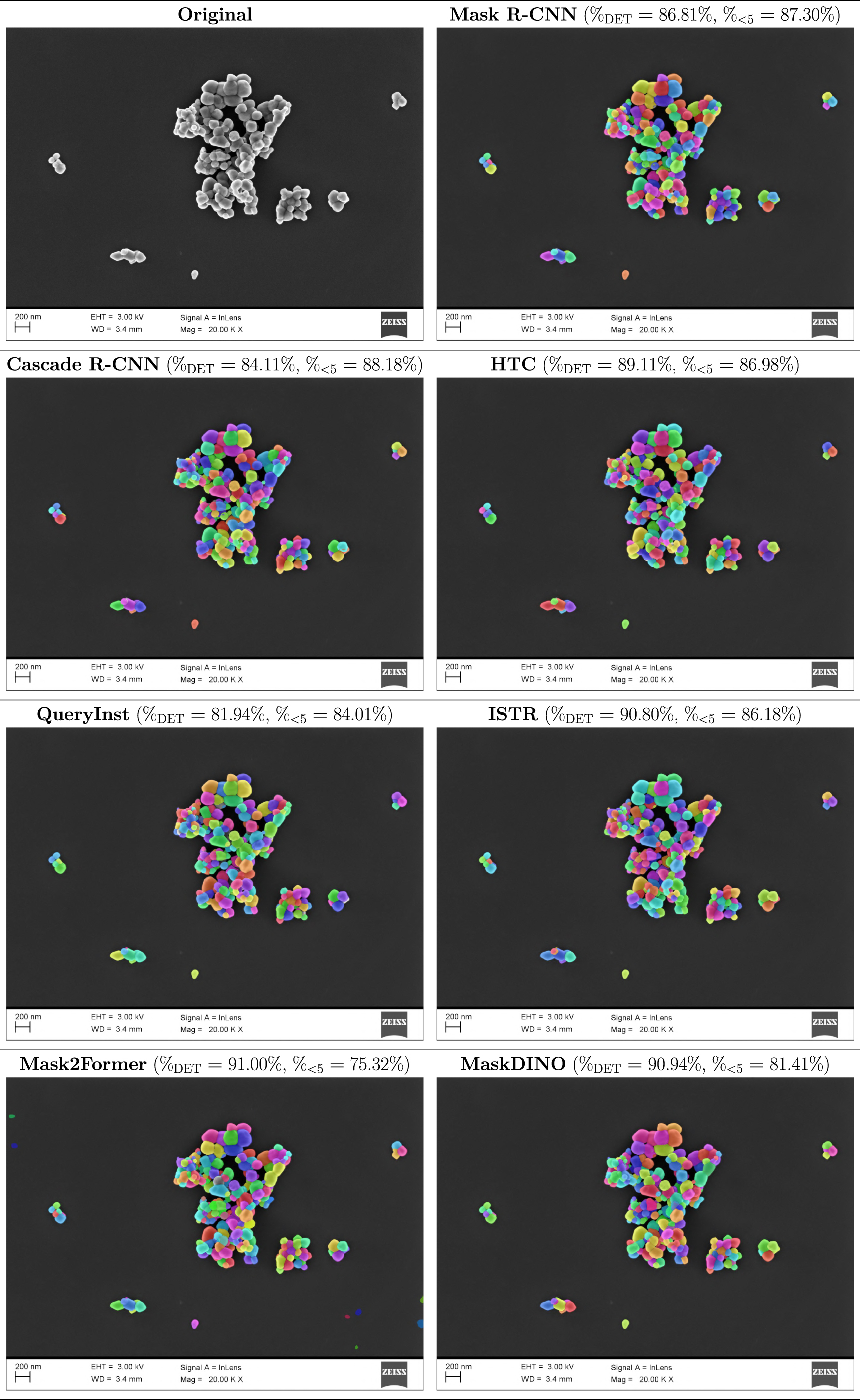 Region versus query based instance segmentation models: application to ...