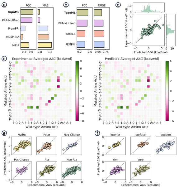 Topological machine learning for protein–nucleic acid binding affinity ...