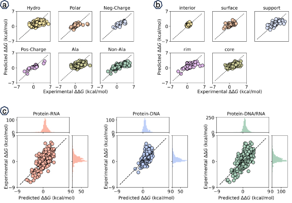 Topological machine learning for protein–nucleic acid binding affinity ...