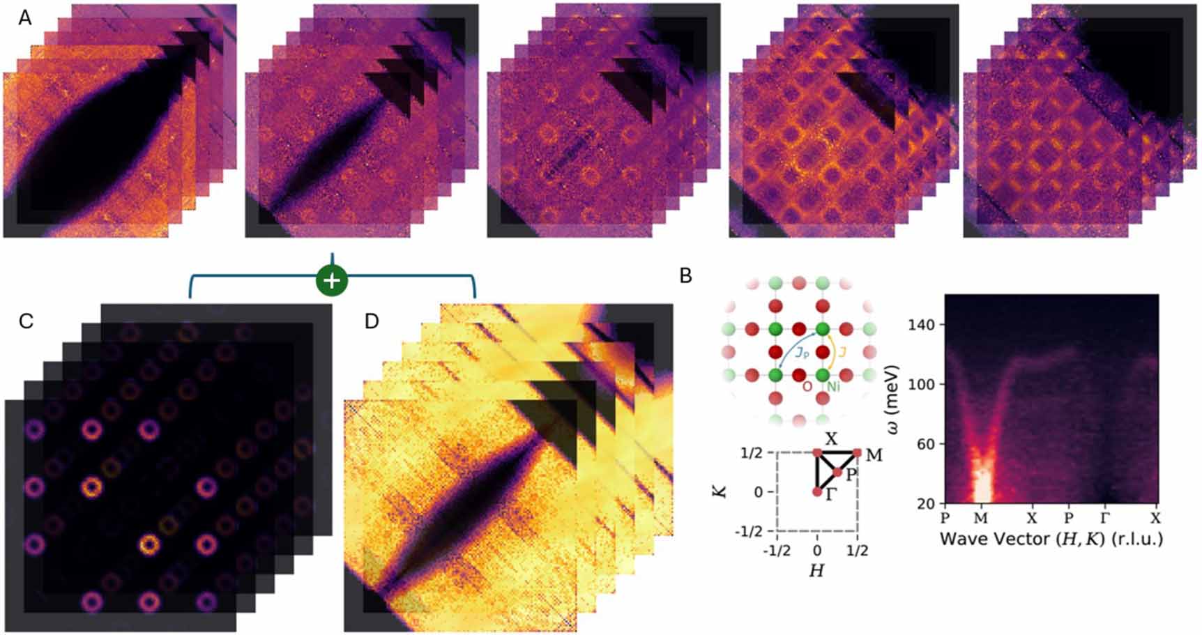 Physics-guided dual implicit neural representations for source ...