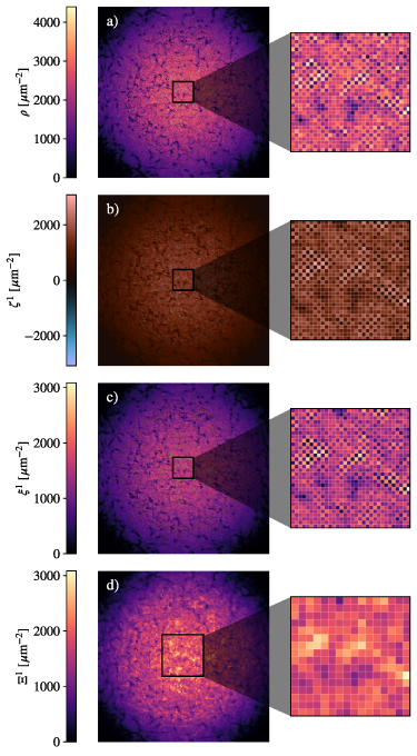 Figure 3. Refer to the following caption and surrounding text.