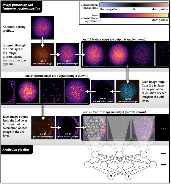 Figure 4. Refer to the following caption and surrounding text.