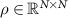 $\rho \in \mathbb{R}^{N \times N}$