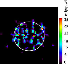 Figure 2. Refer to the following caption and surrounding text.