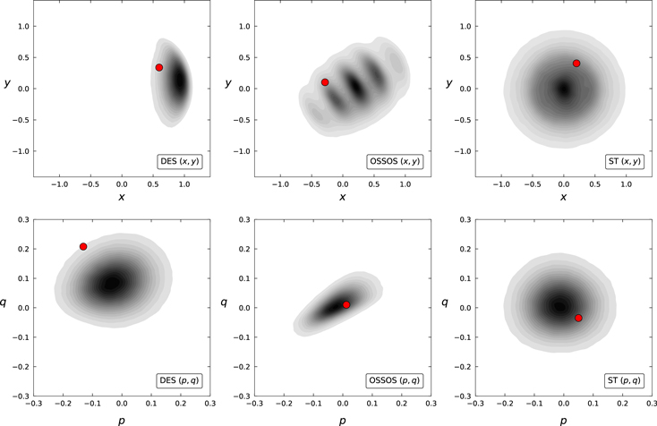 Figure 5. Refer to the following caption and surrounding text.
