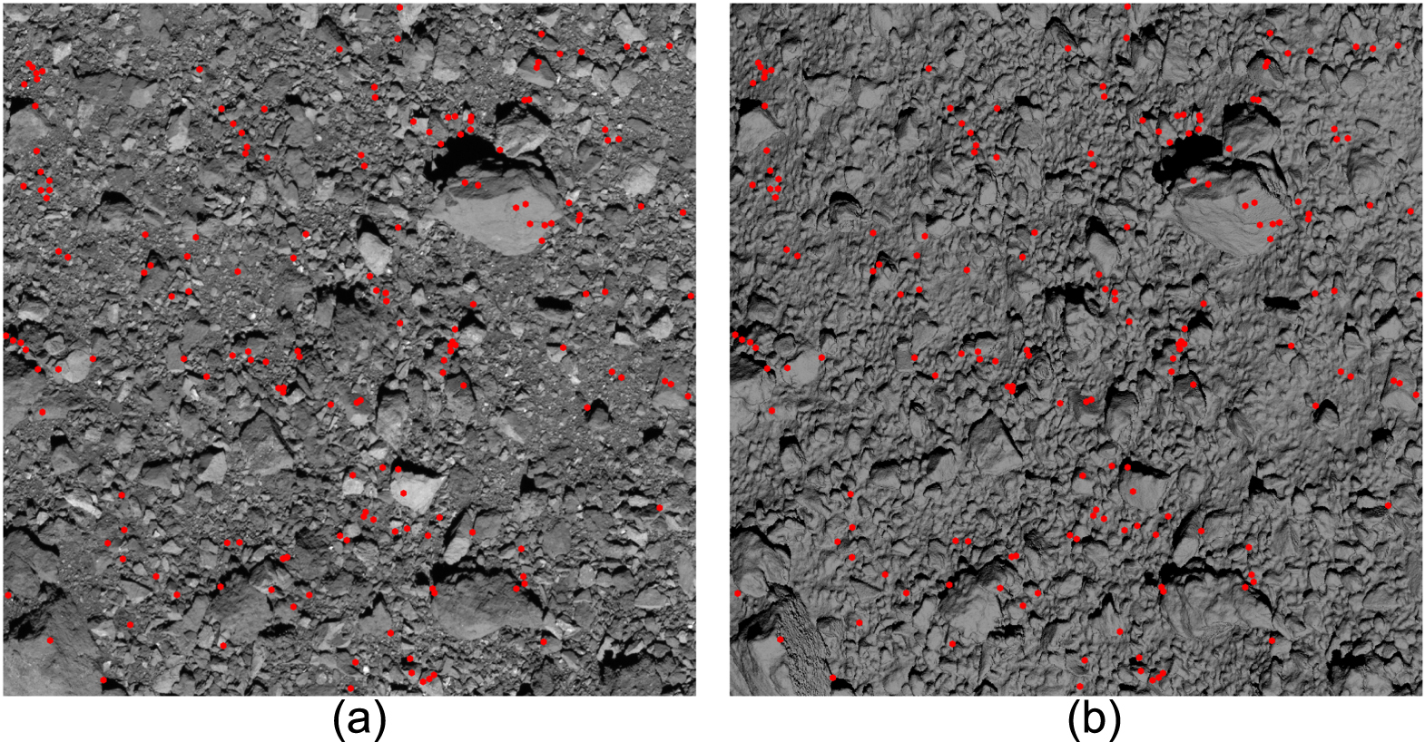 Building a High-resolution Digital Terrain Model of Bennu from Laser ...