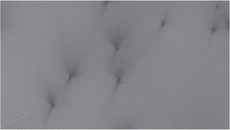 Figure 2. Refer to the following caption and surrounding text.