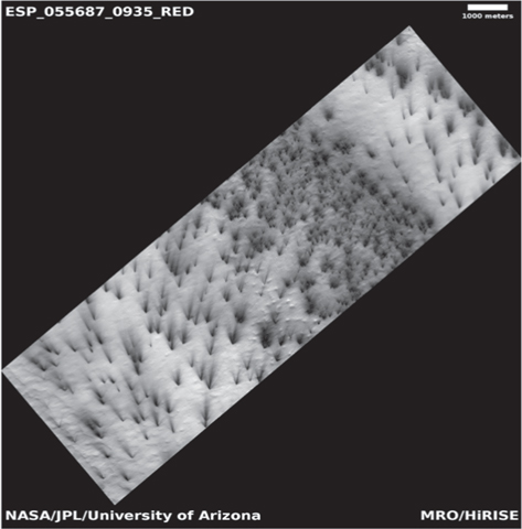 Figure 3. Refer to the following caption and surrounding text.