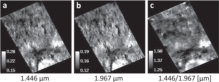The Spectral Properties of Pitted Impact Deposits on Vesta as Seen by ...