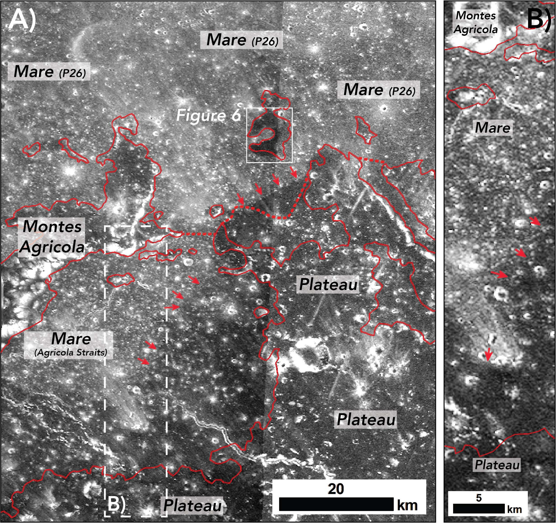 Figure 5. Refer to the following caption and surrounding text.