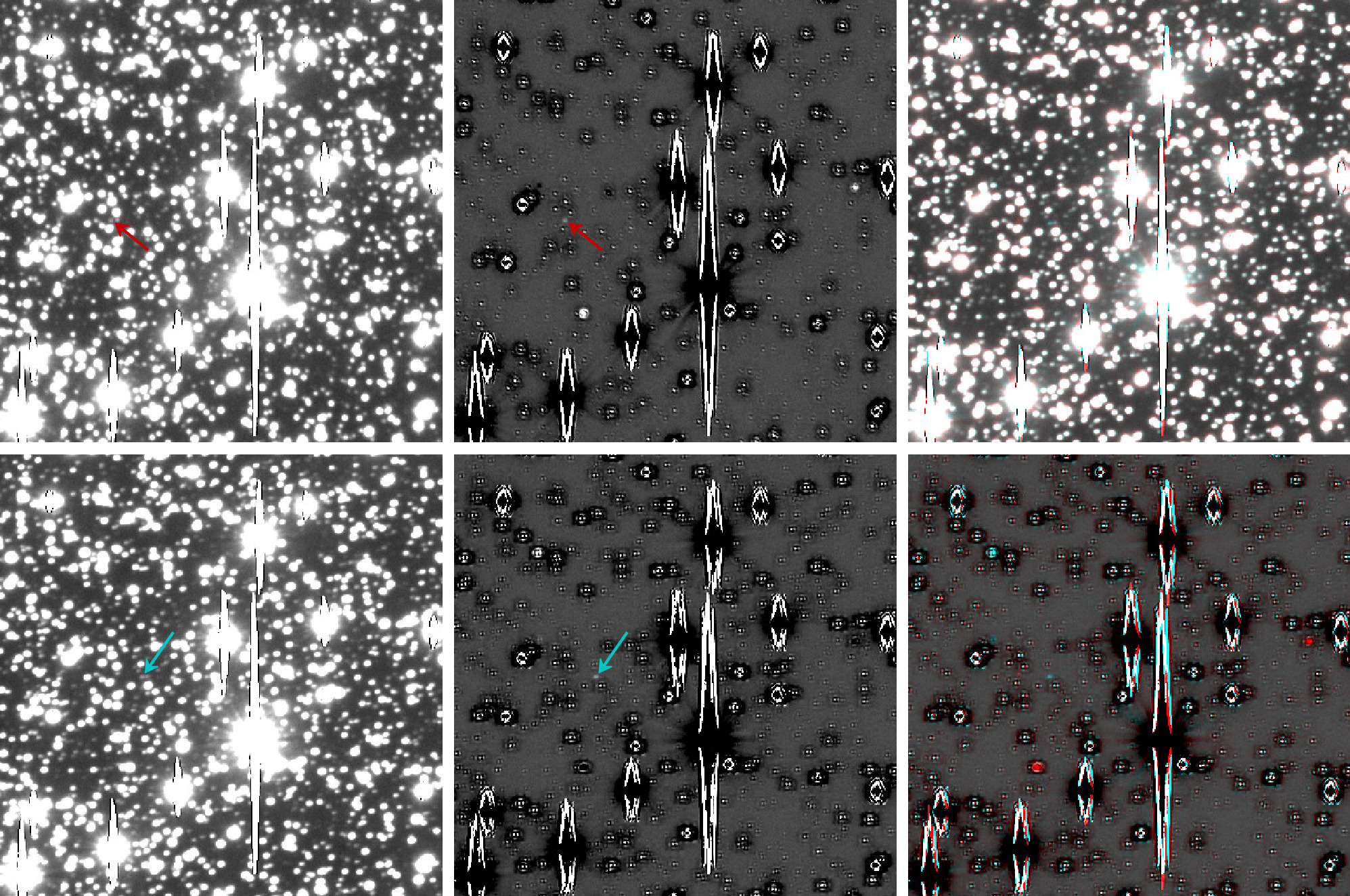 Figure 3. Refer to the following caption and surrounding text.