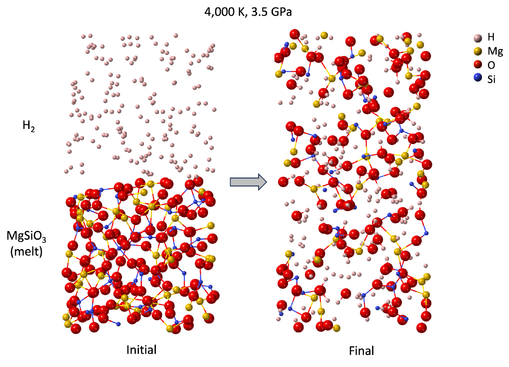 Differentiation, the Exception, Not the Rule: Evidence for Full ...