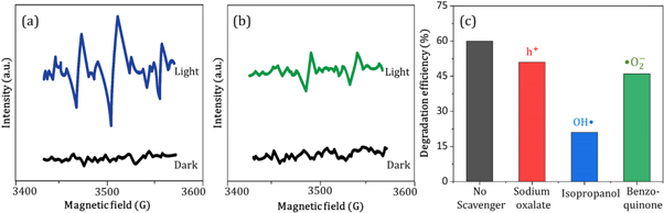 Figure 10.