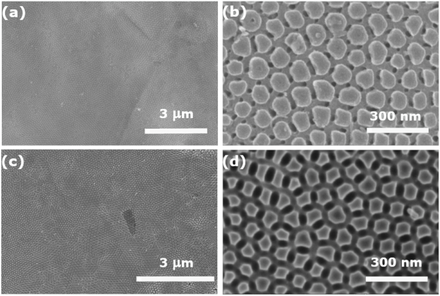 Tio2 Bowl Self-organized and self-assembled TiO2 nanosheets and nanobowls on TiO2 ...