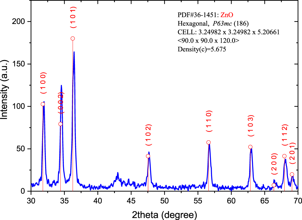 One-step to synthesize multilevel structured ZnO films with