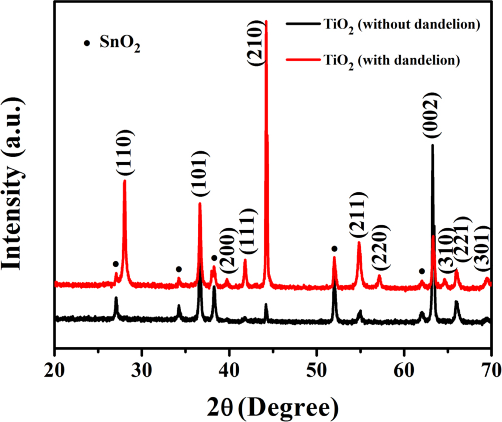 Designing TiO2 nanostructures through hydrothermal growth: influence of ...