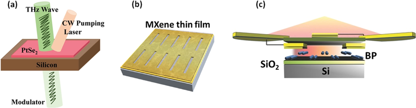 2D Materials for Terahertz Application - IOPscience