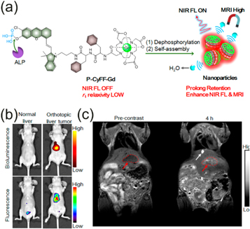 Activatable peptide-based nanoprobes for multimodal imaging in vivo ...