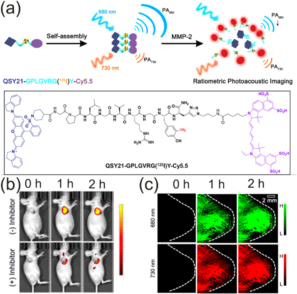 Activatable peptide-based nanoprobes for multimodal imaging in vivo ...