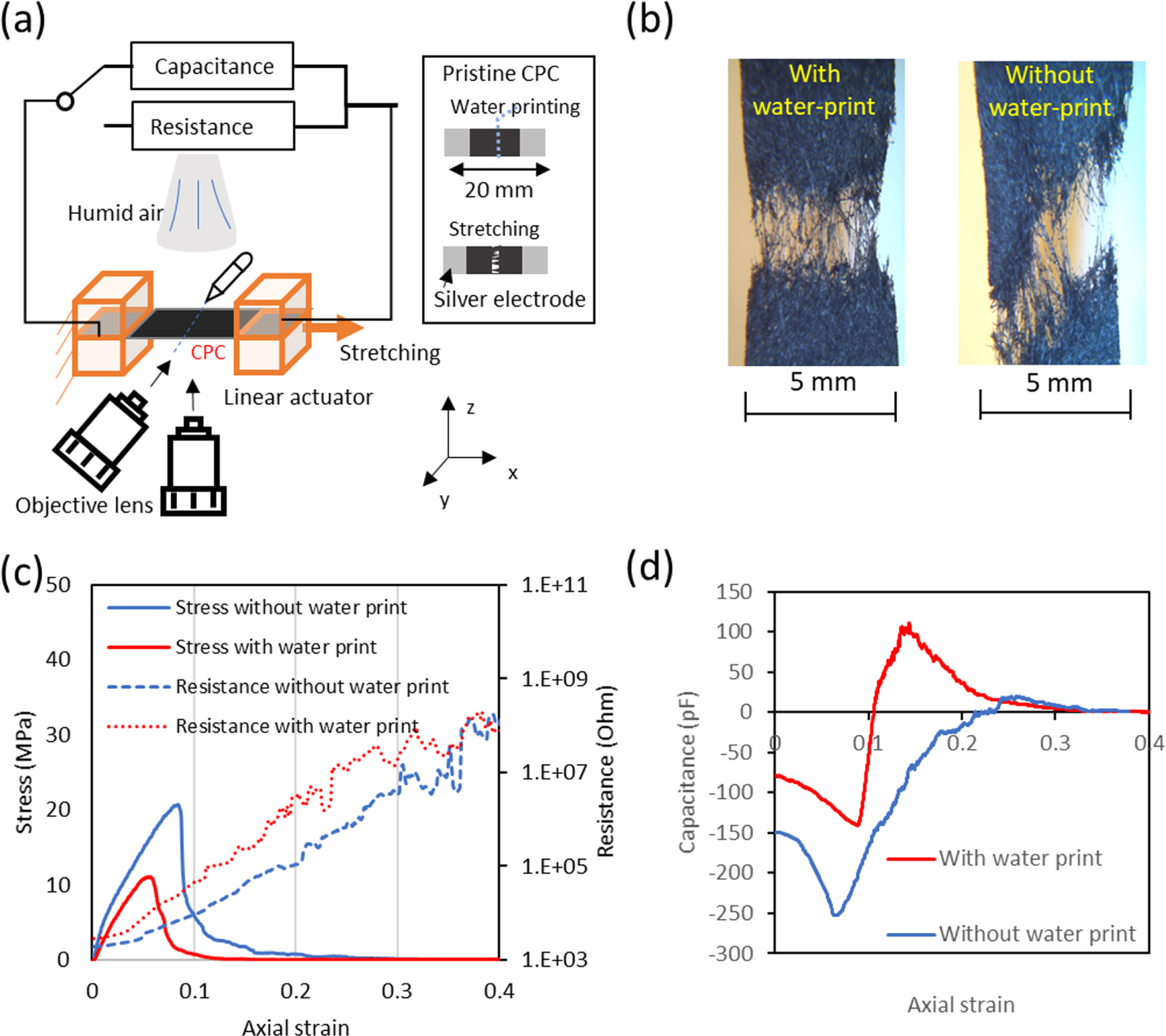 Humidity response of a capacitive sensor based on auxeticity of carbon ...