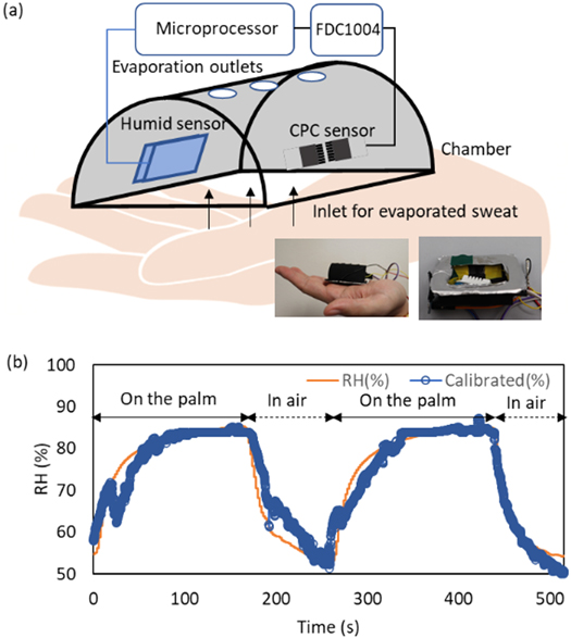 Humidity response of a capacitive sensor based on auxeticity of carbon ...