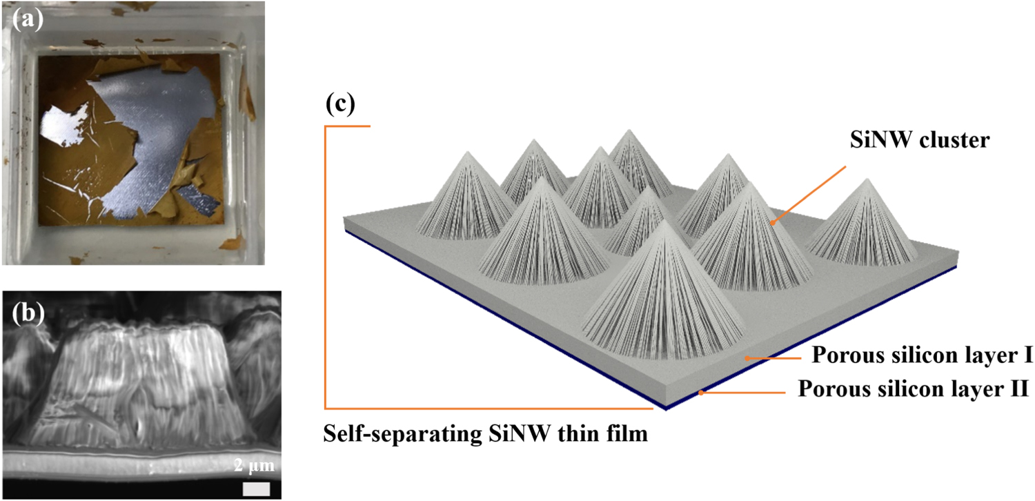 A novel self-separating silicon nanowire thin film and application in ...