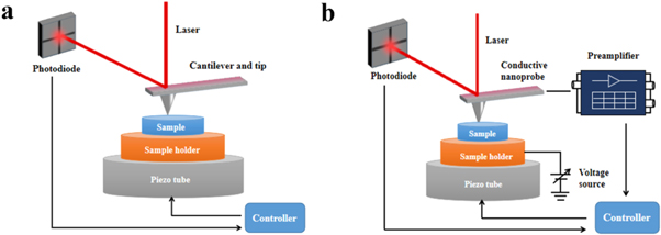 Probing switching mechanism of memristor for neuromorphic computing ...