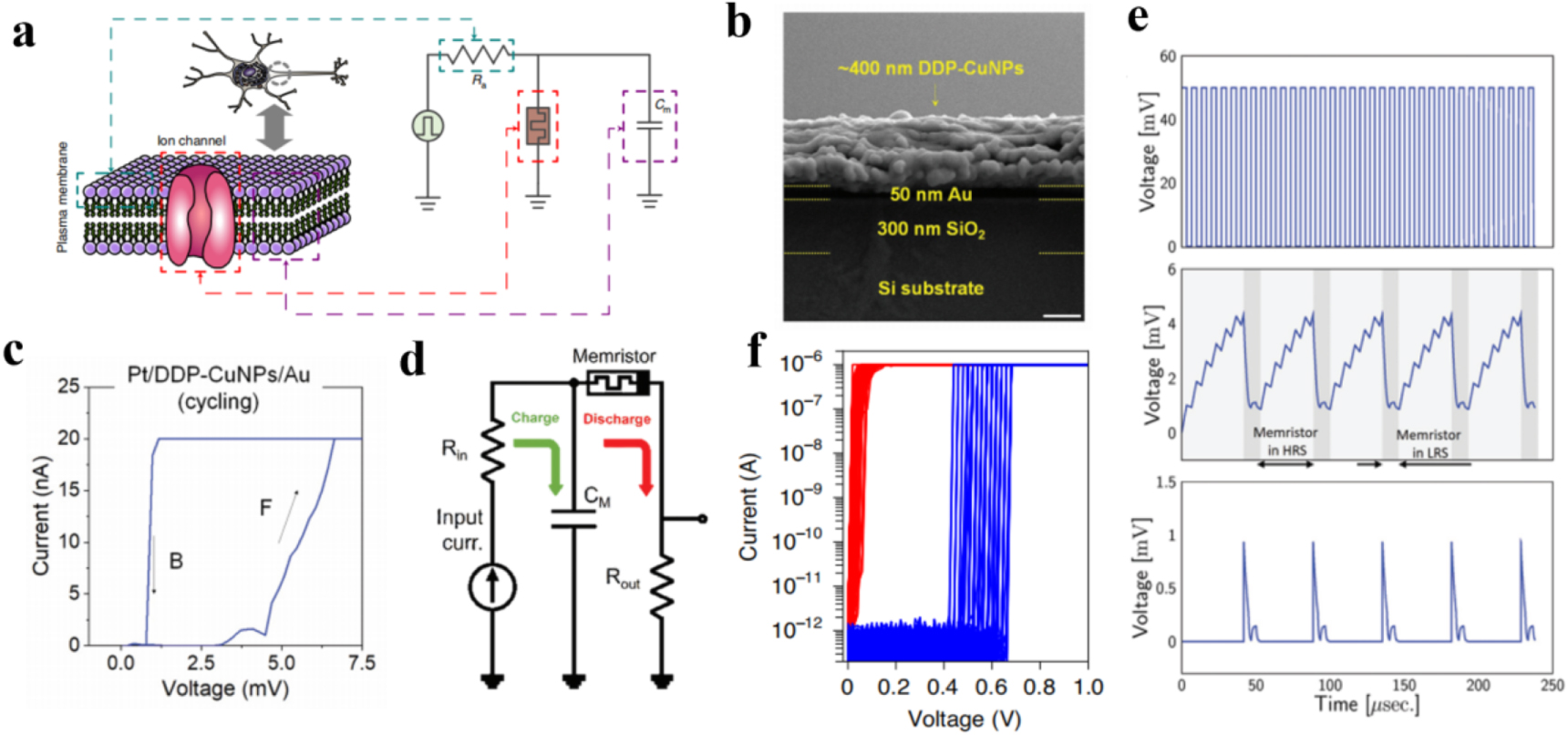 Probing switching mechanism of memristor for neuromorphic computing ...