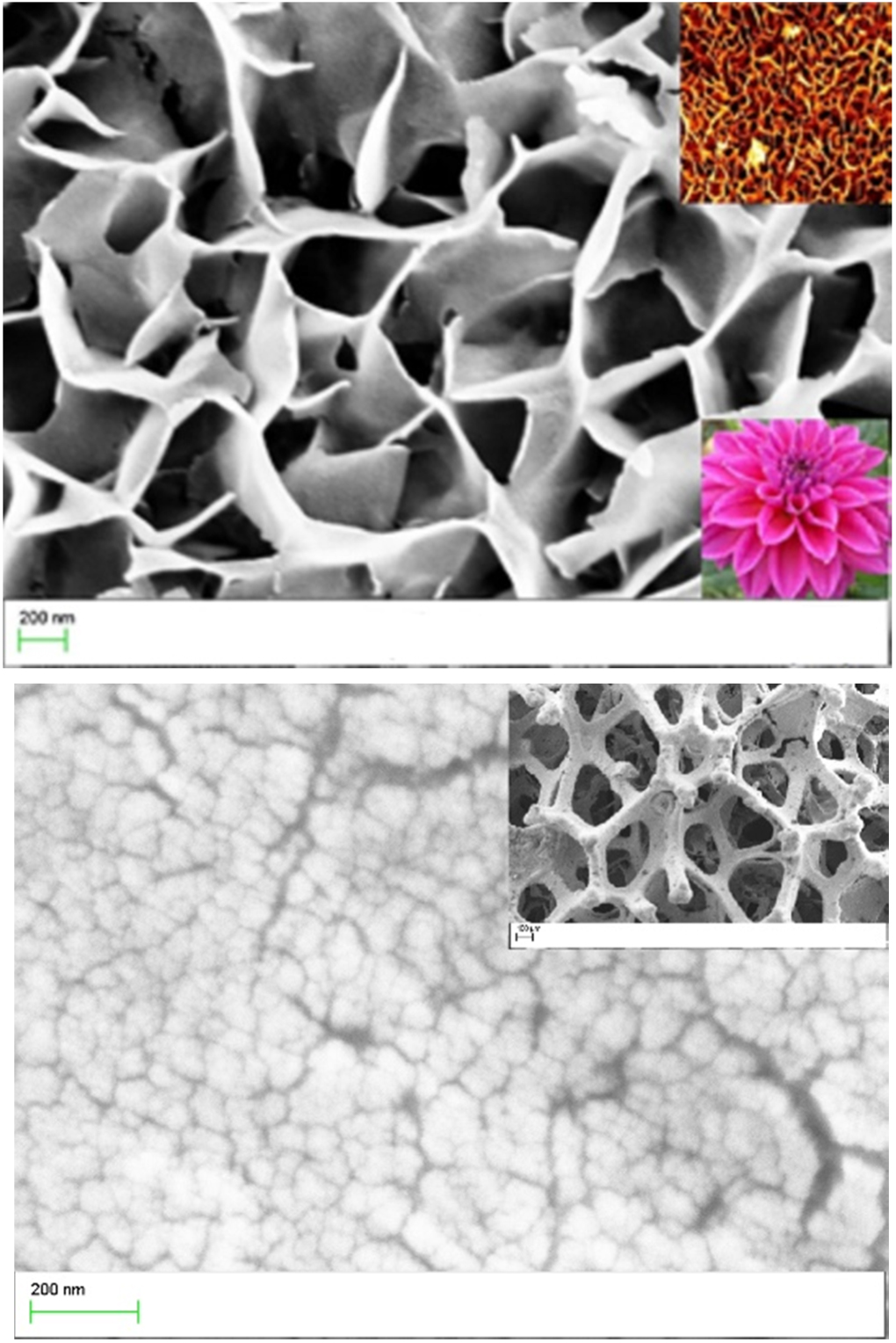 Microwave assisted synthesis for -MnO2 nanostructures on Ni foam as for ...