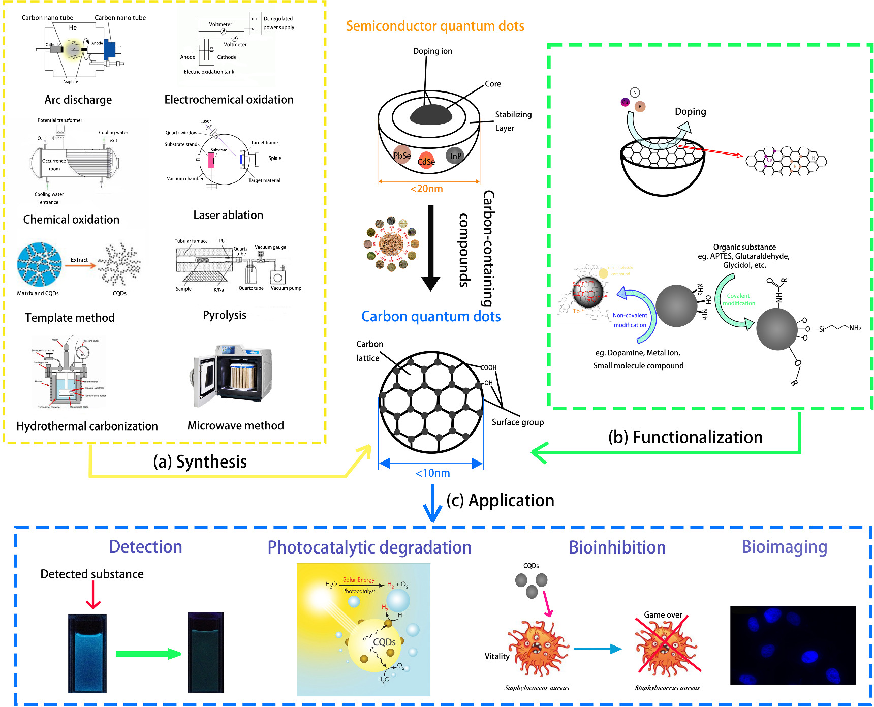 Advances in carbon quantum dot technology for food safety: preparation ...