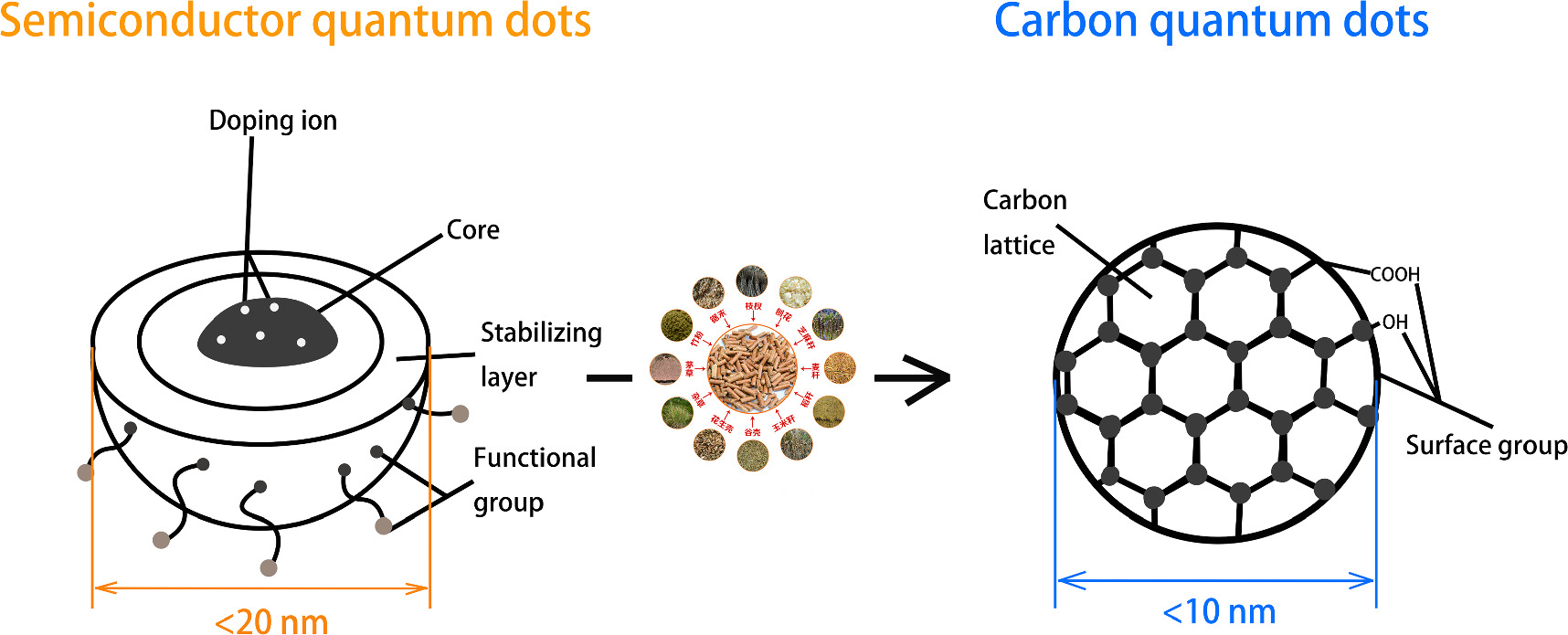 Advances in carbon quantum dot technology for food safety: preparation ...
