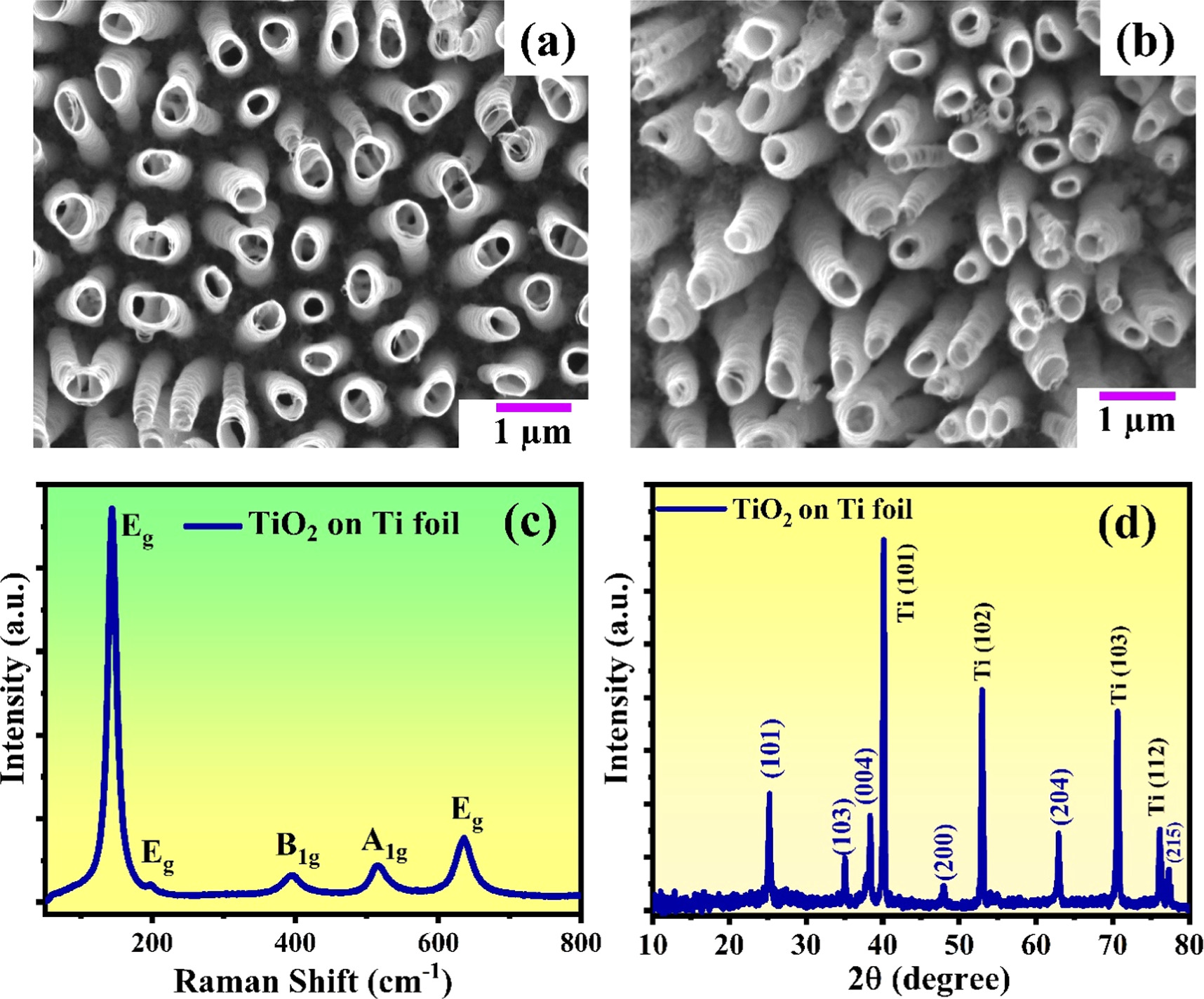 Tio2 Nanoarray MoS2 thin film decorated TiO2 nanotube arrays on flexible Ti foil for ...