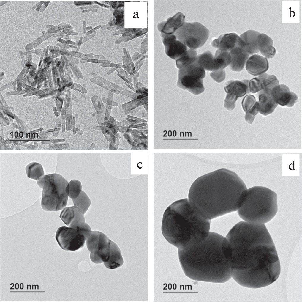 Structural and antibacterial properties of copper oxide