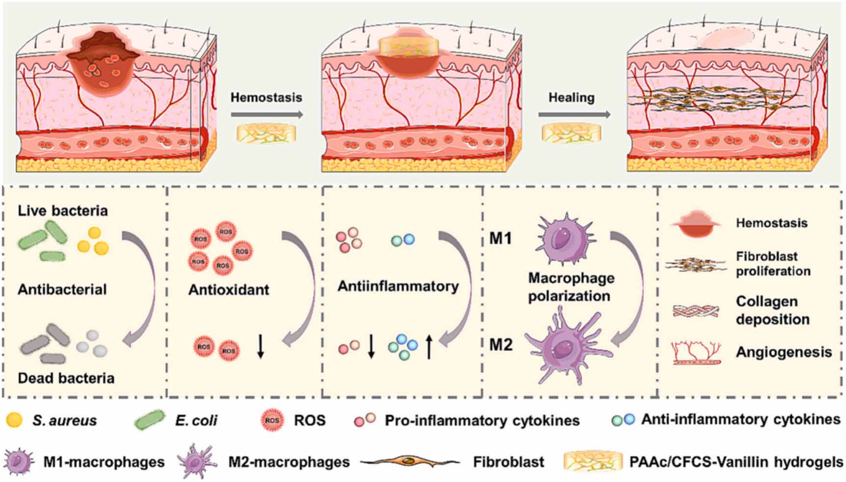 The treatment of diabetic foot ulcers with advanced nanomaterials ...